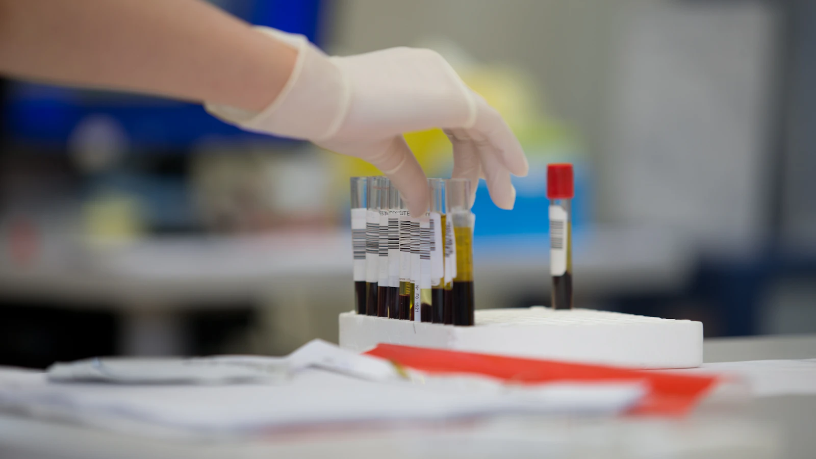 Laborant met handschoen houdt een buisje bloed vast boven een rekje in het lab.