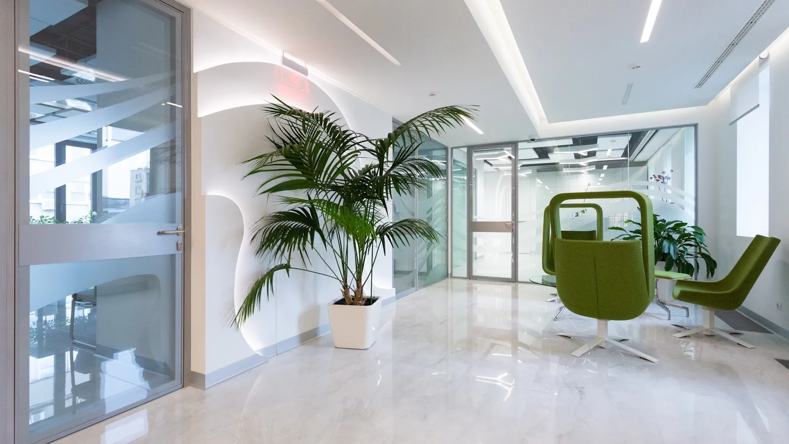 Lichte wachtruimte van een moderne kliniek met een palm in een witte pot en groene stoelen.