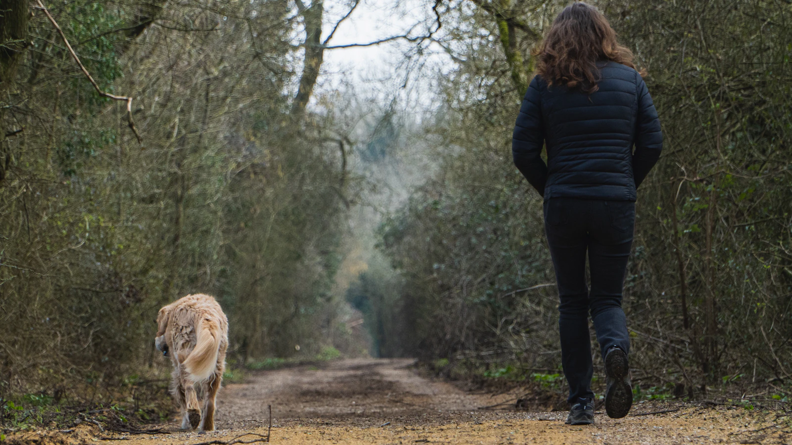 Vrouw wandelt met haar hond over een bospad in het daglicht.